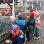 phoca_thumb_m_halloween u zajk 33 Fotogalerie